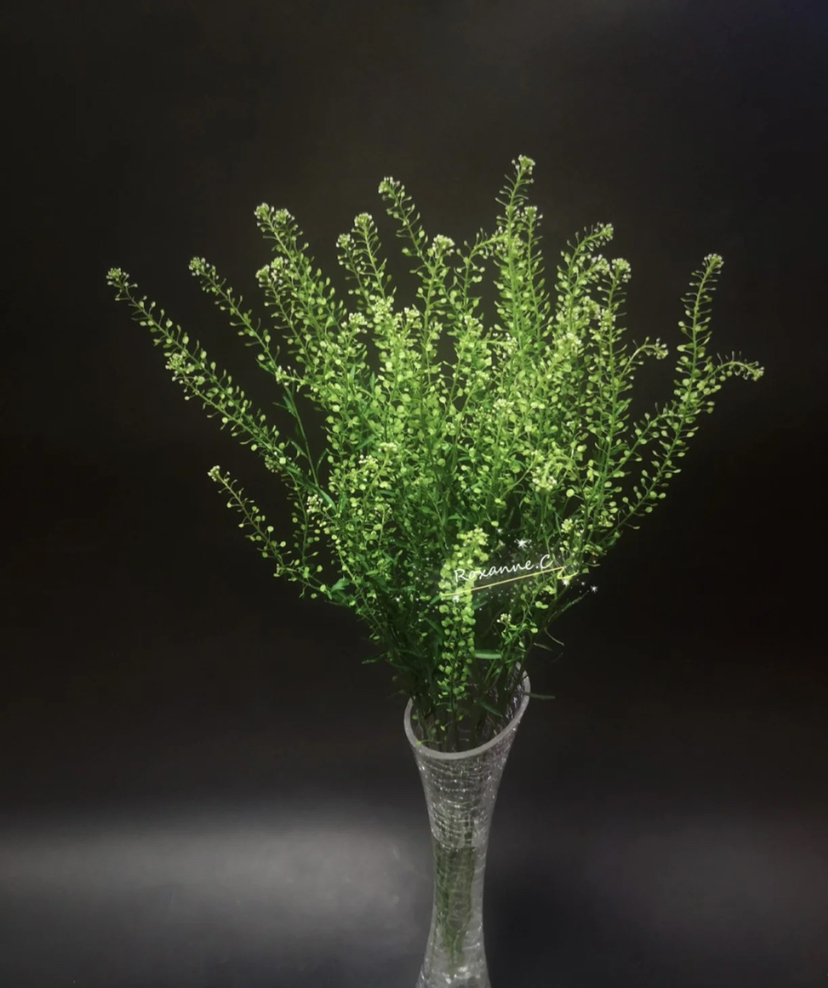 【惹人怜爱】绿铃草（BB草）若干枝/扎