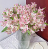 海盛六出花 -浅粉色 10枝 商品缩略图0