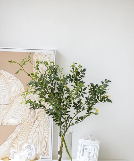 【祝福/垂伶】素馨叶（九星叶）约6-8枝/扎 商品图1