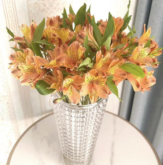 海盛六出花-橙色  10枝 商品图0