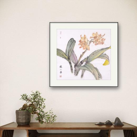 苏小华《兰花》国画花鸟 50CM*50CM 约2.2平尺 纸本（未装框）【原作编号GH0004】 商品图1