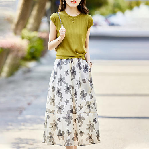 时尚印花套装女，夏新款韩版时髦修身显瘦法式浪漫优雅两件套裙HR-WM681189 商品图2