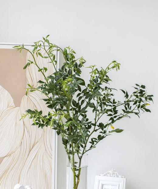 【祝福/垂伶】素馨叶（九星叶）约6-8枝/扎 商品图2