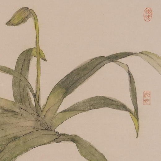 苏小华《兜兰》国画花鸟 38CM*44CM 约1.5平尺 纸本（已装框）【原作编号GH0005】 商品图3