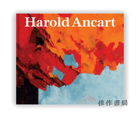 Harold Ancart: Traveling Light / 比利时艺术家 哈罗德·安卡特：轻装上阵