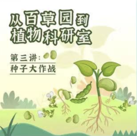 【南京】种子大作战