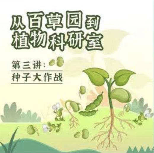 【南京】种子大作战 商品图0