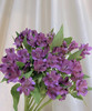海盛六出花-紫色  10枝 商品缩略图0