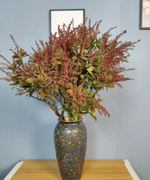 【守护唯一的爱】山里红  若干枝/扎 商品图0