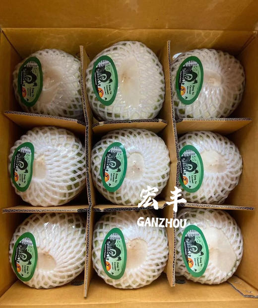 宏丰精选  泰国功夫椰青 口感清甜 活动价12.8一个 商品图7