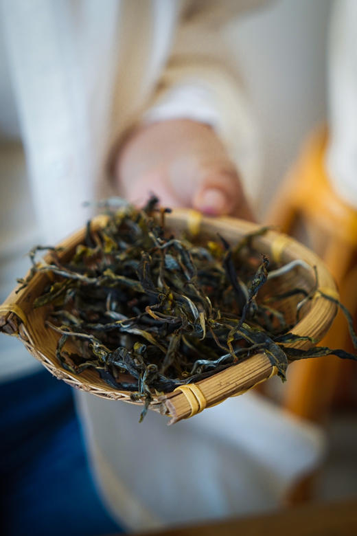 【2024曼松王子山】有钱也不一定喝得到的贡茶，舌尖上的兰韵盛宴! 商品图1