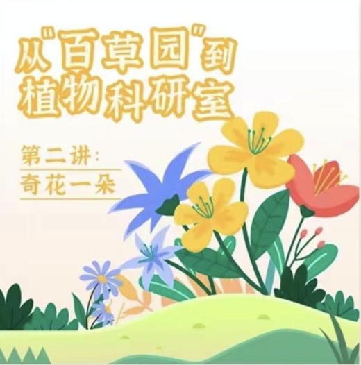 【南京】植物科研室 — 奇花一朵 商品图0