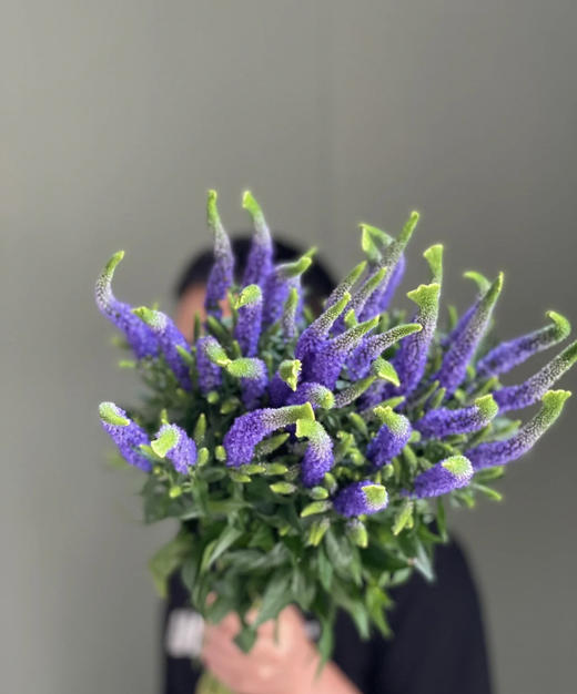 【每日福利】鼠尾  10支/扎  多色可选 商品图2