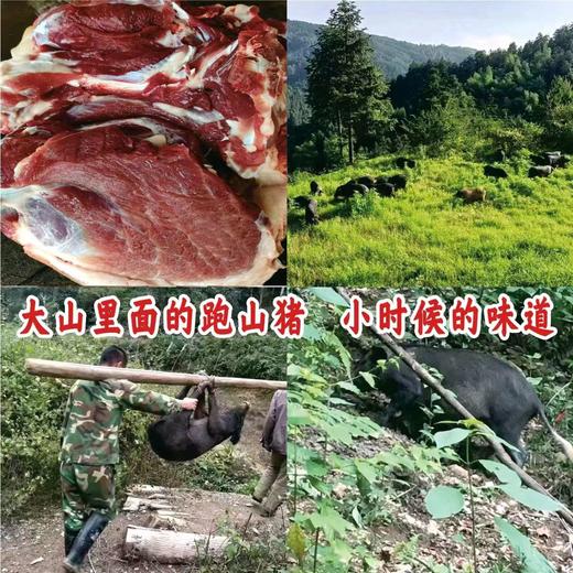 跑山黑猪，纯瘦肉，1斤 商品图0