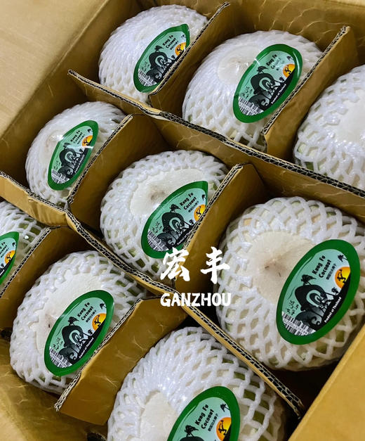 宏丰精选  泰国功夫椰青 口感清甜 活动价12.8一个 商品图6