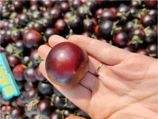 黑珍珠樱桃柿子一斤（拼团） 商品图0