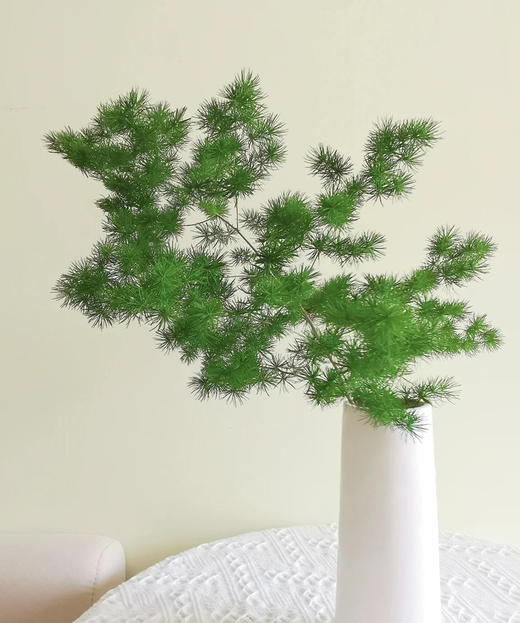 蓬莱松  若干枝/扎 商品图0