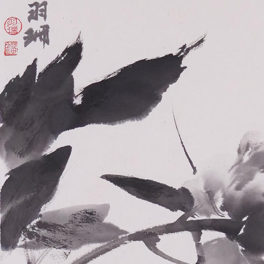 刘羽珊《水墨牡丹》国画花鸟 35CM*35CM 约1平尺 纸本（已托底）【原作编号GH0009】 商品图3
