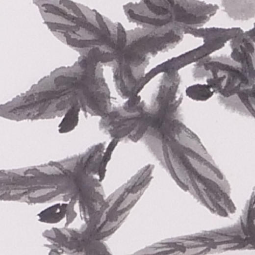 卢诗韵《昼颜花开》国画花鸟 33CM*68CM 约2平尺 纸本（已装框）【原作编号GH0023】 商品图3