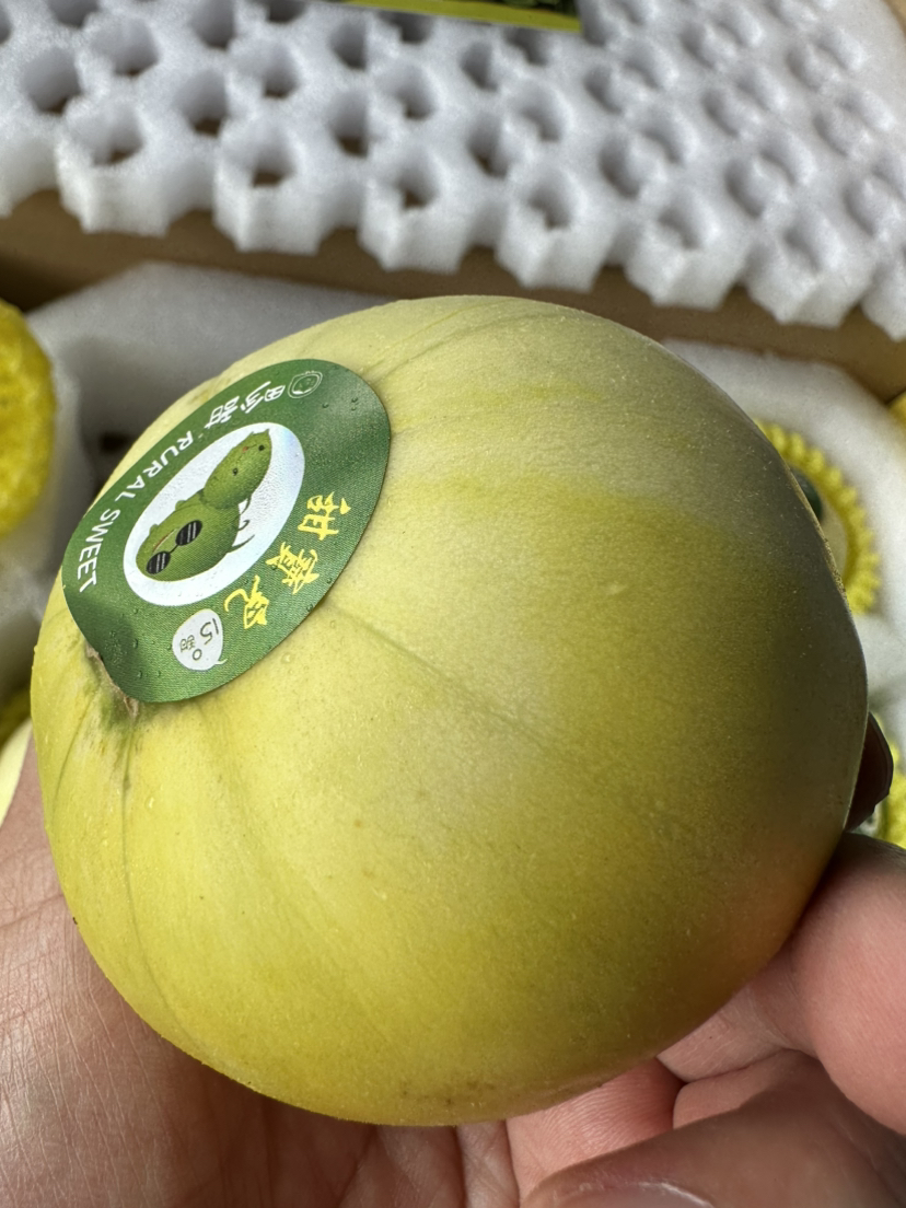 #小傻瓜#原始的生命力，不膨大，不催熟，多余的只能丑化，还是让生命自然生长吧！