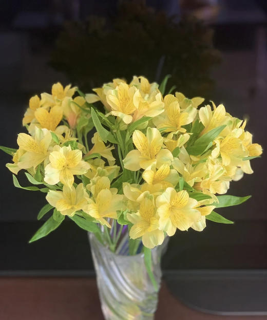 【进口六出花】黄色  5枝 商品图0