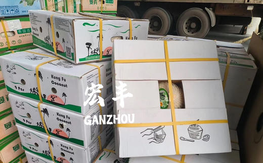 宏丰精选  泰国功夫椰青 口感清甜 活动价12.8一个 商品图10