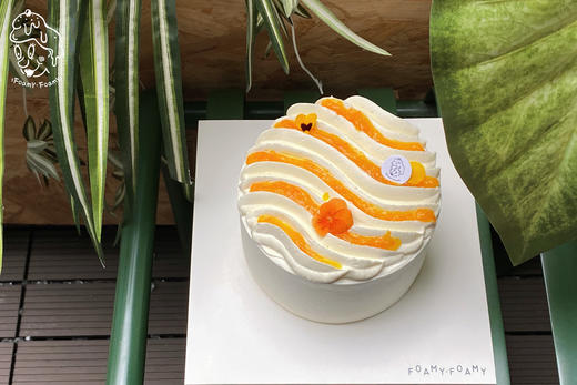 山茶花橙子（预订） 商品图0