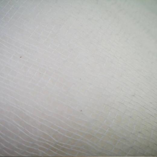 新疆长绒棉 拾花者2斤夏凉被（有网包边） 商品图5