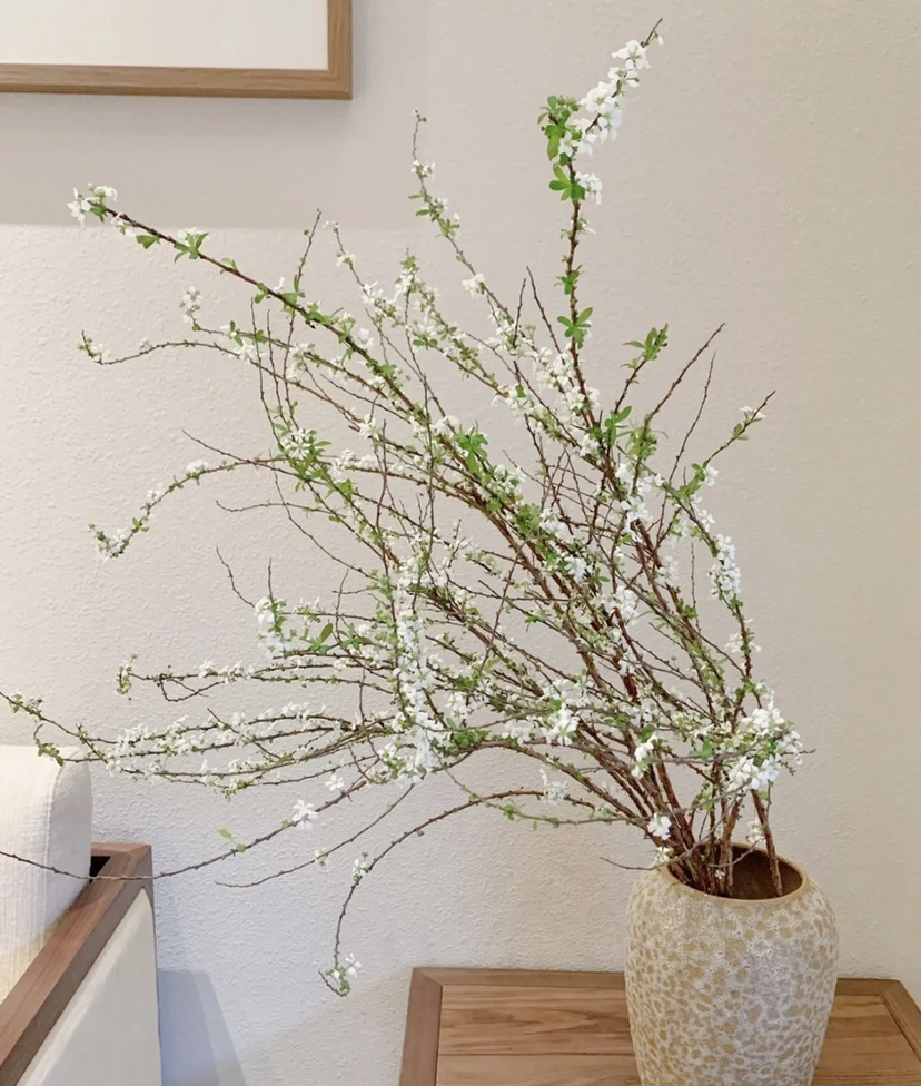 【开花特惠】雪柳花 约6-8枝/扎