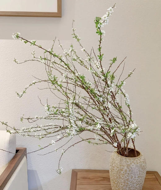 【开花特惠】雪柳花 约6-8枝/扎 商品图0