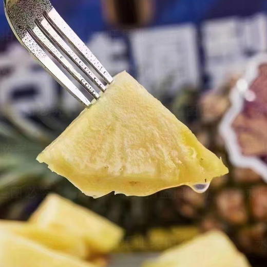 古法凤梨云南 木艮本 | 顶级水果 商品图1
