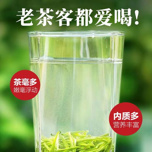 【2025年新茶！下单立即发货】悠谷春 早春毛尖 250g/罐（天猫同款） 商品图1