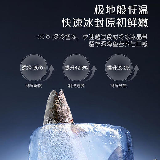 卡萨帝（Casarte）冰箱 BCD-418WLCFDM4WKU1 商品图7