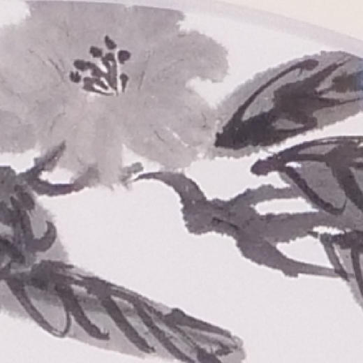 卢诗韵《昼颜花开》国画花鸟 33CM*68CM 约2平尺 纸本（已装框）【原作编号GH0023】 商品图2