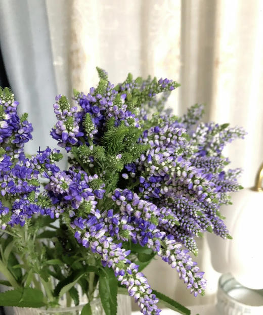 【家庭幸福】多头鼠尾  多色可选 约8-10支/扎 商品图3