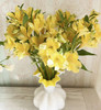 海盛六出花-黄色  10枝 商品缩略图0