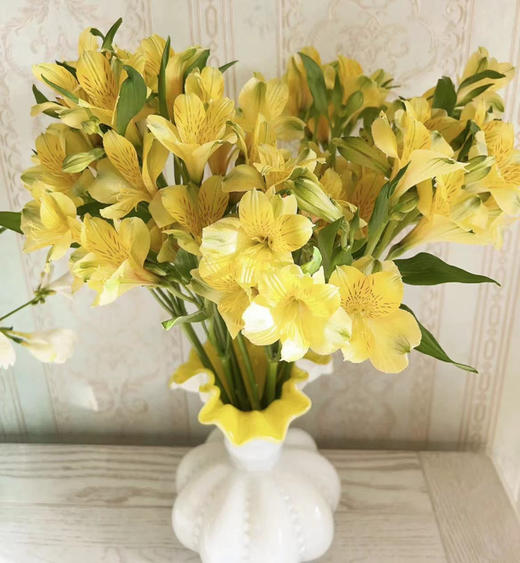 海盛六出花-黄色  10枝 商品图0