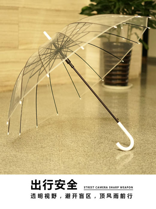 【好物推荐】16骨透明雨伞折叠大号小清新长柄雨伞 商品图2
