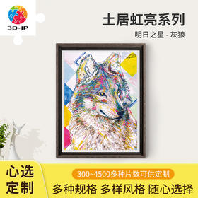 心选定制  H3193 土居弘亮 - 明日之星 - 灰狼