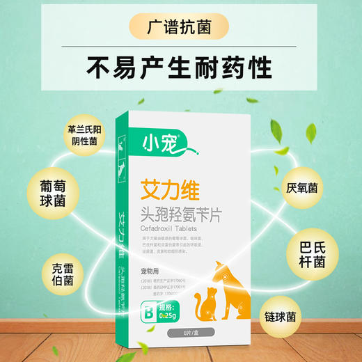 小宠艾力维B0.25g 消炎杀菌口服 商品图2