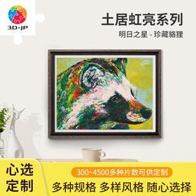 心选定制  H3197 土居弘亮 - 明日之星 - 珍藏貉狸