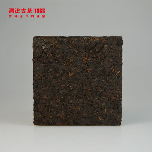 【回家之旅专享】澜沧古茶2013年八五金砖老茶头熟茶333g 商品图3