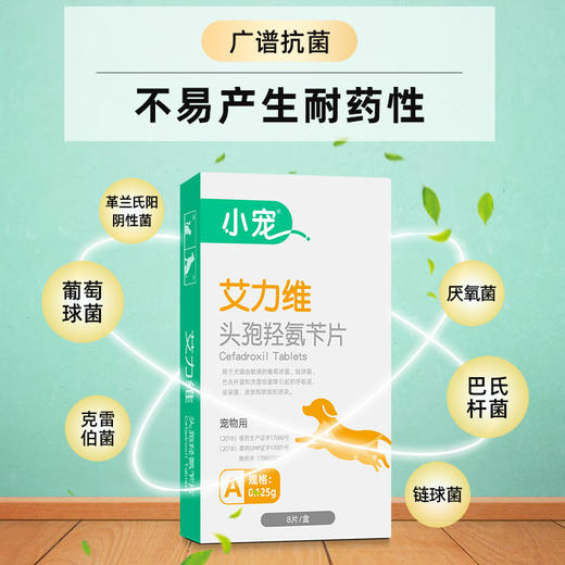 小宠艾力维A0.125g 犬猫脓皮症、泌尿道感染指定用药 商品图2