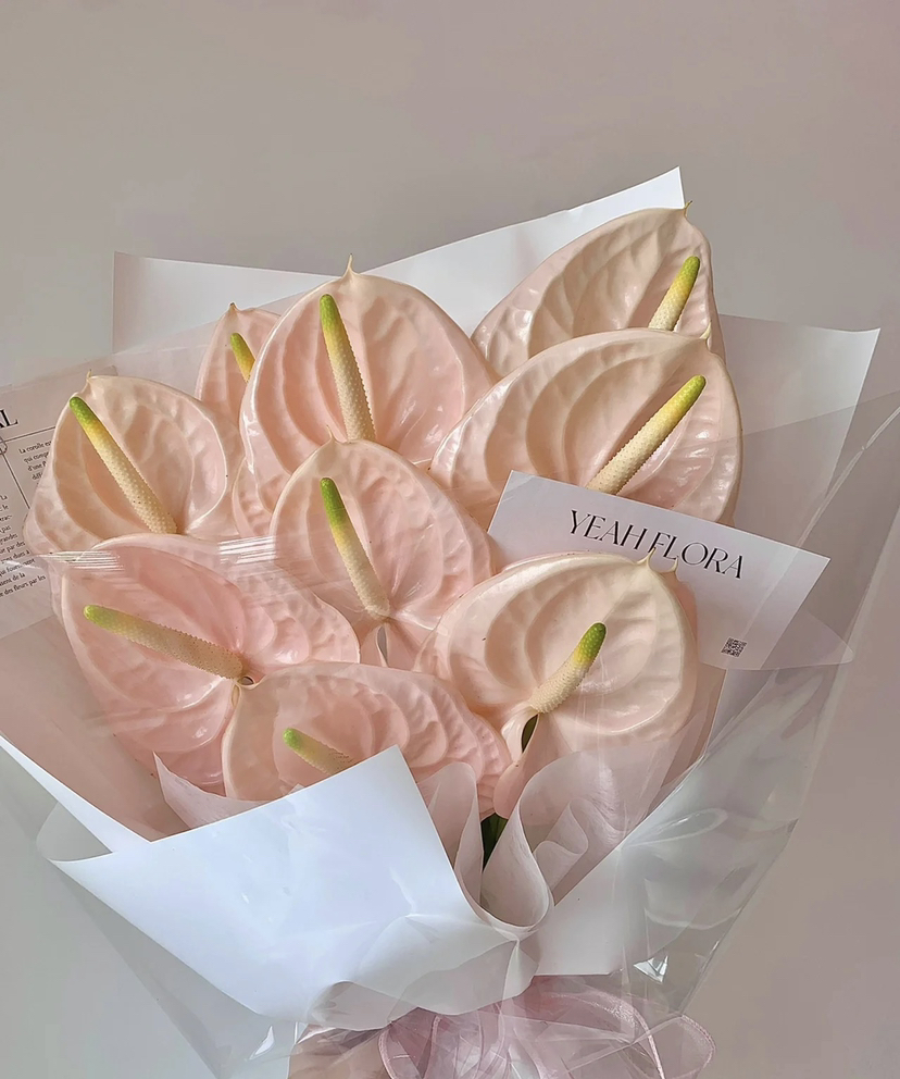 【绿光彩掌】干杯  香槟粉色