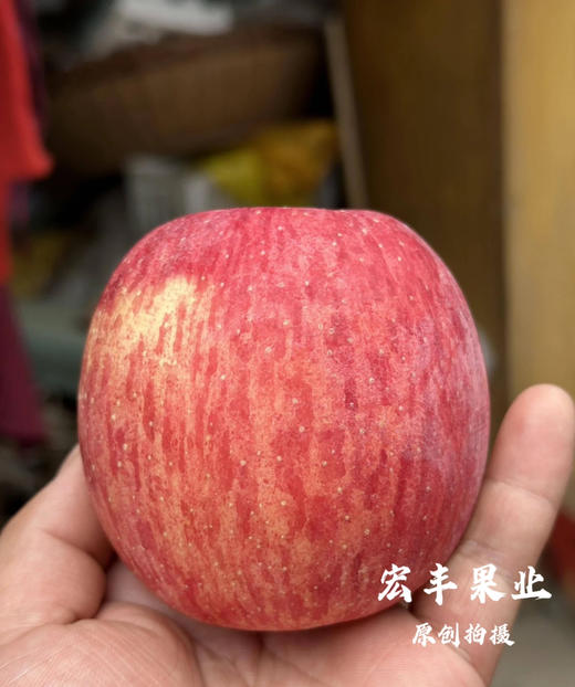 产地直发洛川苹果 条纹漂亮 口感甜脆 活动价9.8元一斤 商品图7