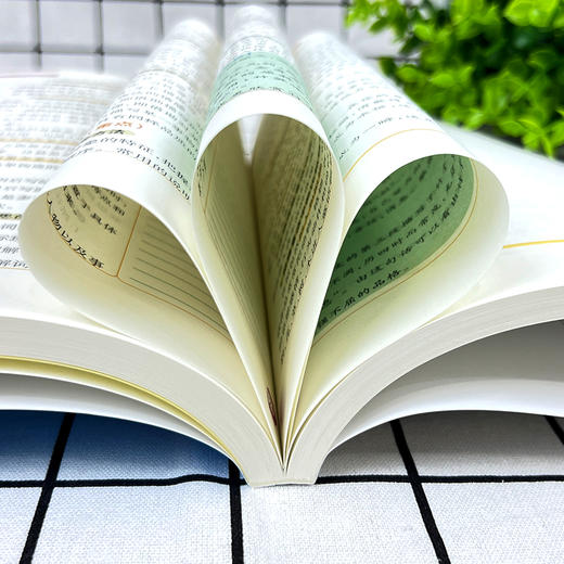 学霸提分笔记 小学语文 全彩版 商品图2