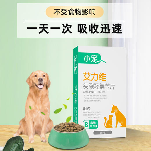 小宠艾力维B0.25g 消炎杀菌口服 商品图3