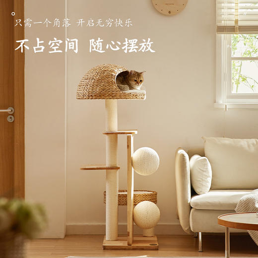 兽牌蒲素系列猫爬架 商品图2