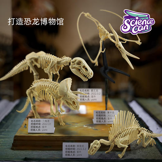 科学罐头 160003中生代超级恐龙化石挖掘套装 商品图2