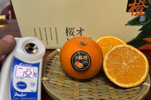 江沐橙—伦晚 肉质细嫩、汁水充沛、香甜可口，自带淡淡的樱花橙香 商品图5